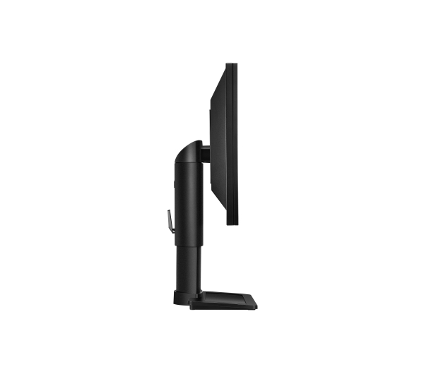BenQ BL2411PT czarny - 149593 - zdjęcie 3